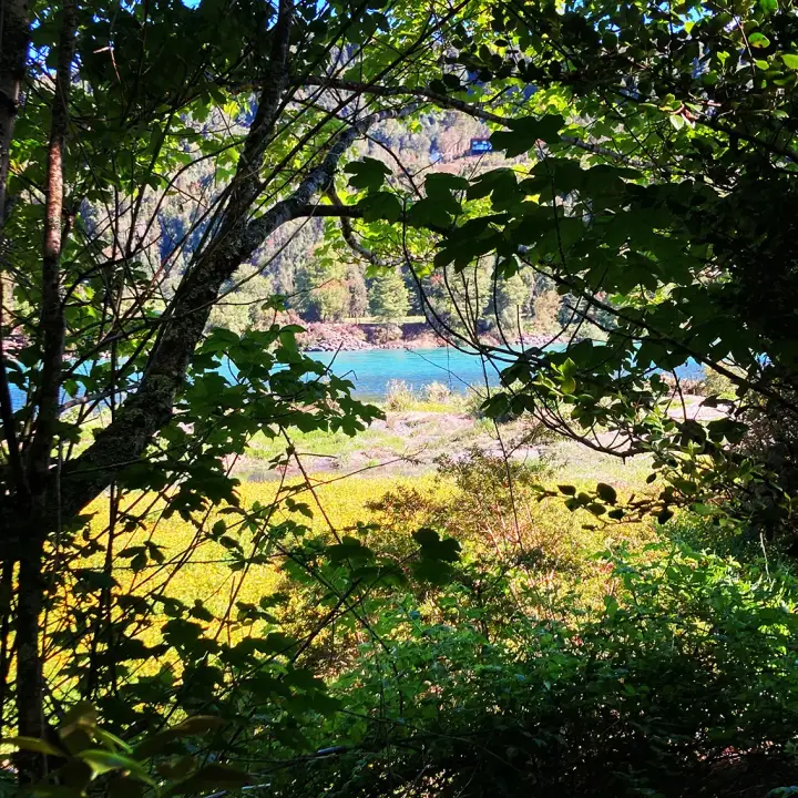 SenderoBosque