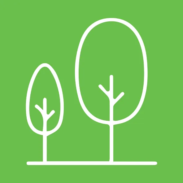 Reseña Bosques - Ecosistema de alta biodiversidad